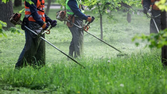 Cost-Effective Lawn Mowing and Care