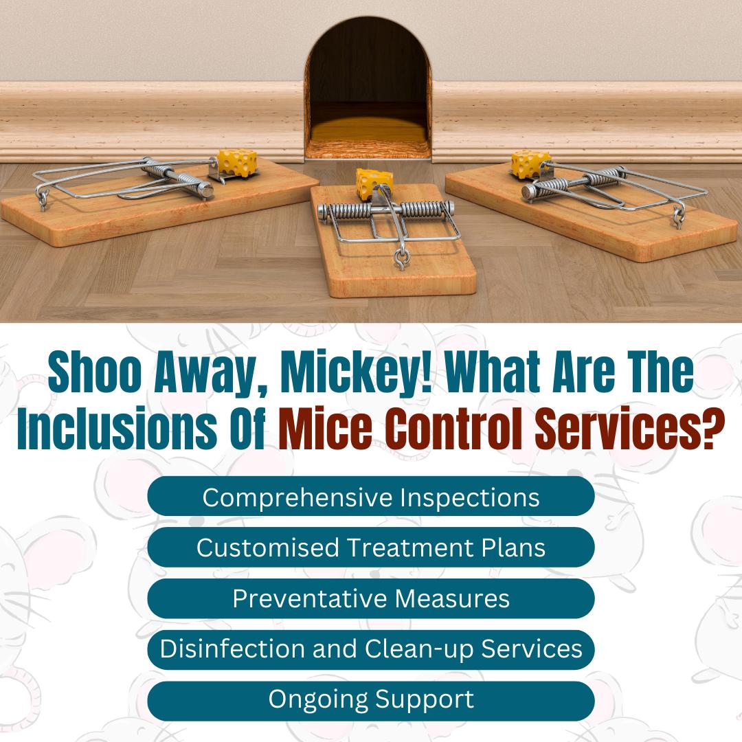 Mice Control Services