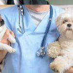 Veterinary Care